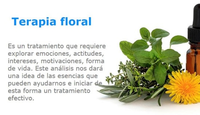 terapia-floral1